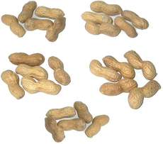Erdnüsse-5x5.jpg